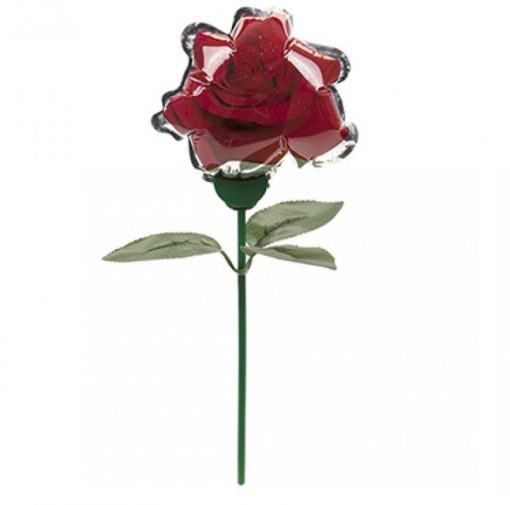 Self Inflating Roses - Set of 2